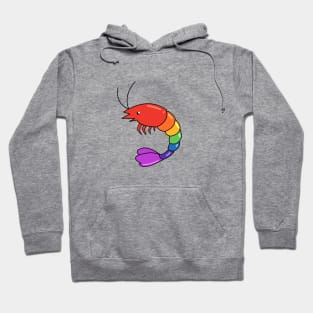 Pride Shrimp Queer Hoodie